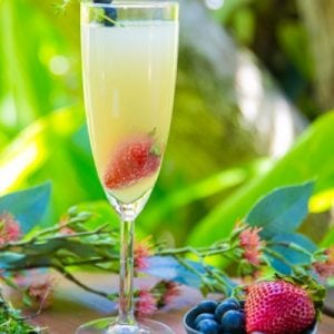 Buderim Ginger Bubbly Thyme Champagne Cocktail Recipe