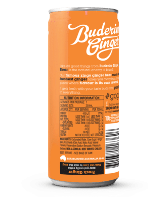 Product Ginger Beer 250ml02